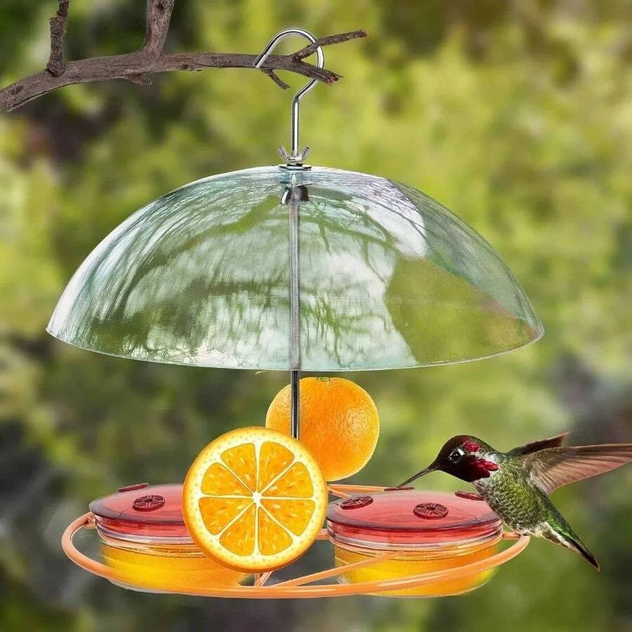 【New style】Baltimore Oriole Feeders, And Oranges, Hanging Wild Squirrel Proof Bluebirds Hummingbirds Houses Outside, Outdoors