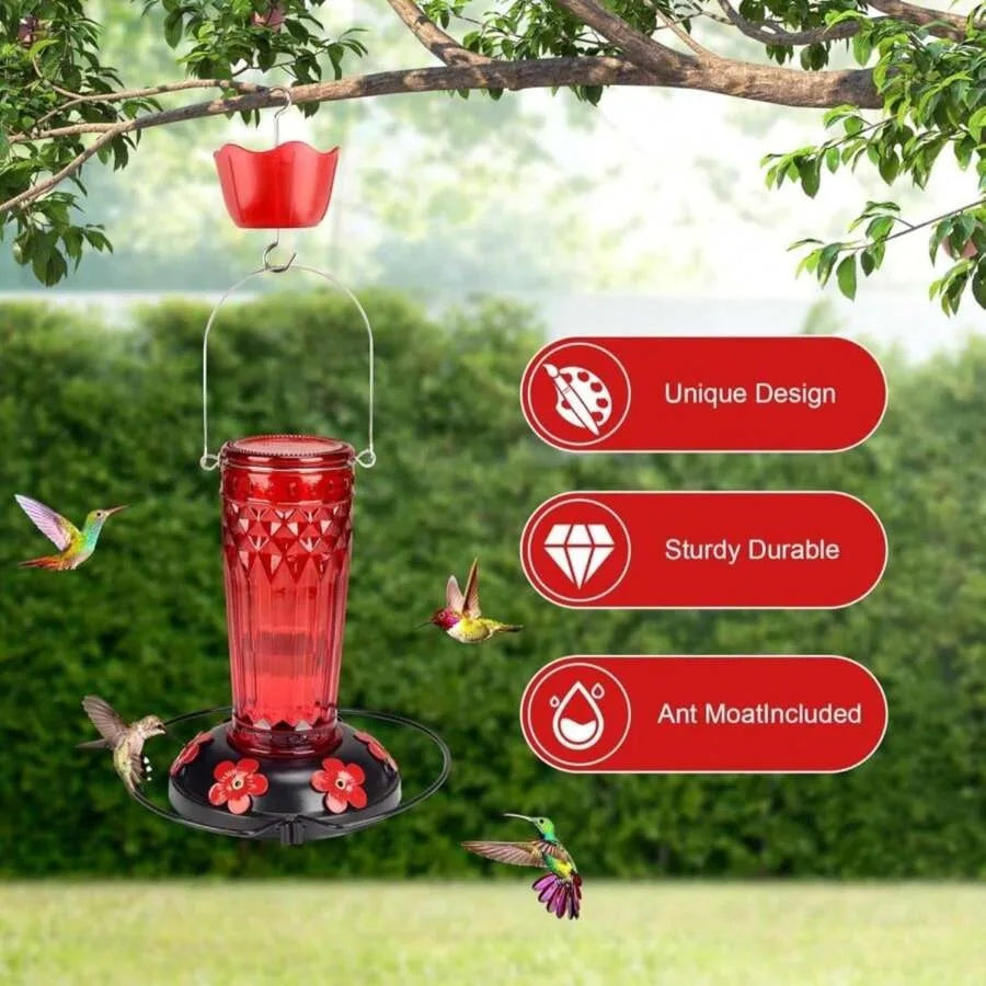 【New style】Zamelane Hummingbird Feeder-16 Ounces, 6 Feeding Ports Glass Hummingbird Feeders For Outdoors, Wide Mouth For Easy F