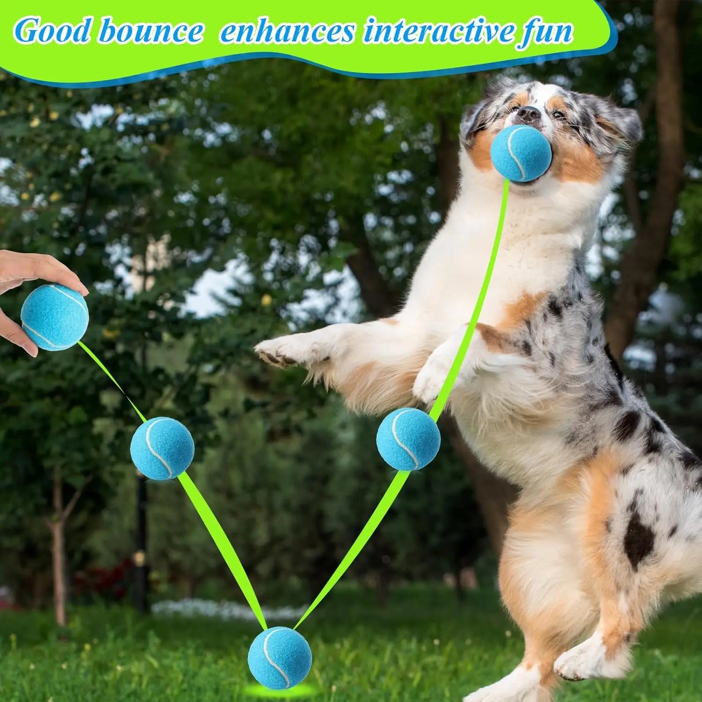 40 Pcs 2.5 Inch Squeaky Tennis Balls for Dogs, Bouncy Floatable Interactive Fetch Toys Indoor Outdoor Play