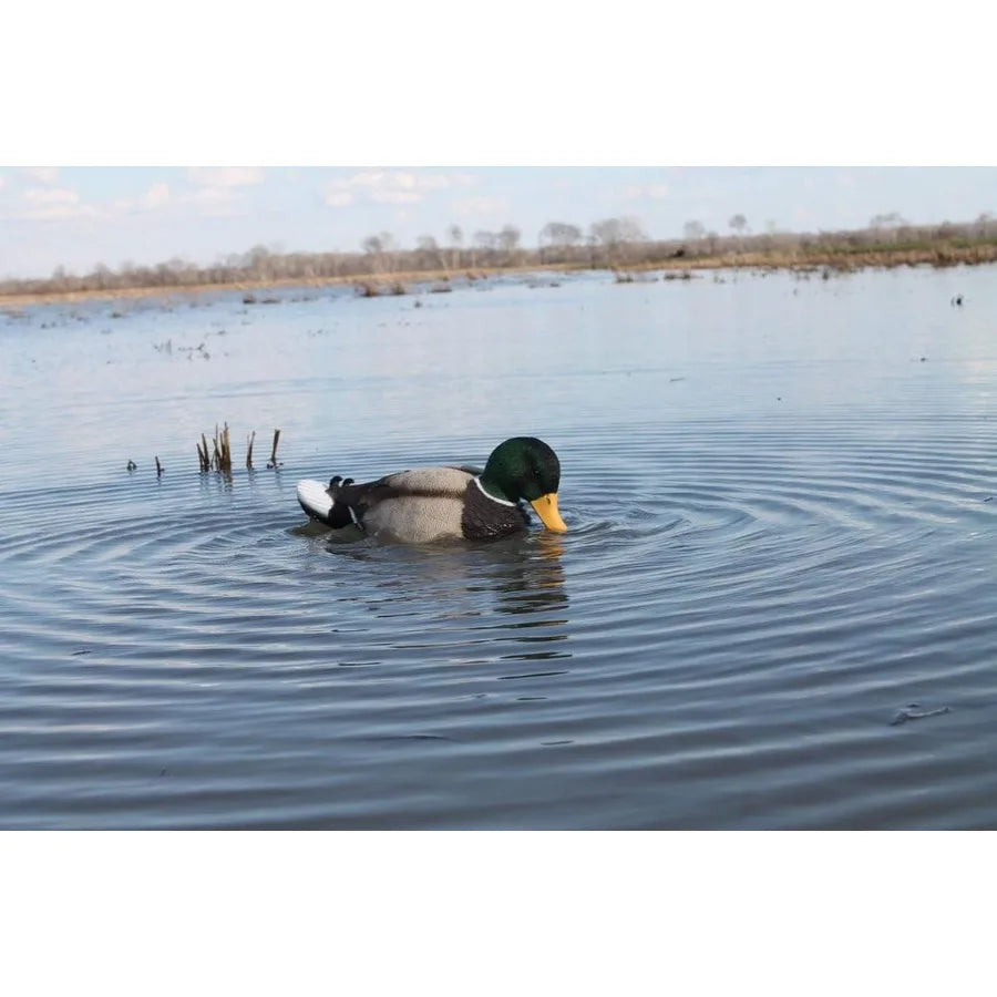 MOJO Outdoors - Premium Waterfowl and Duck Hunting Decoys