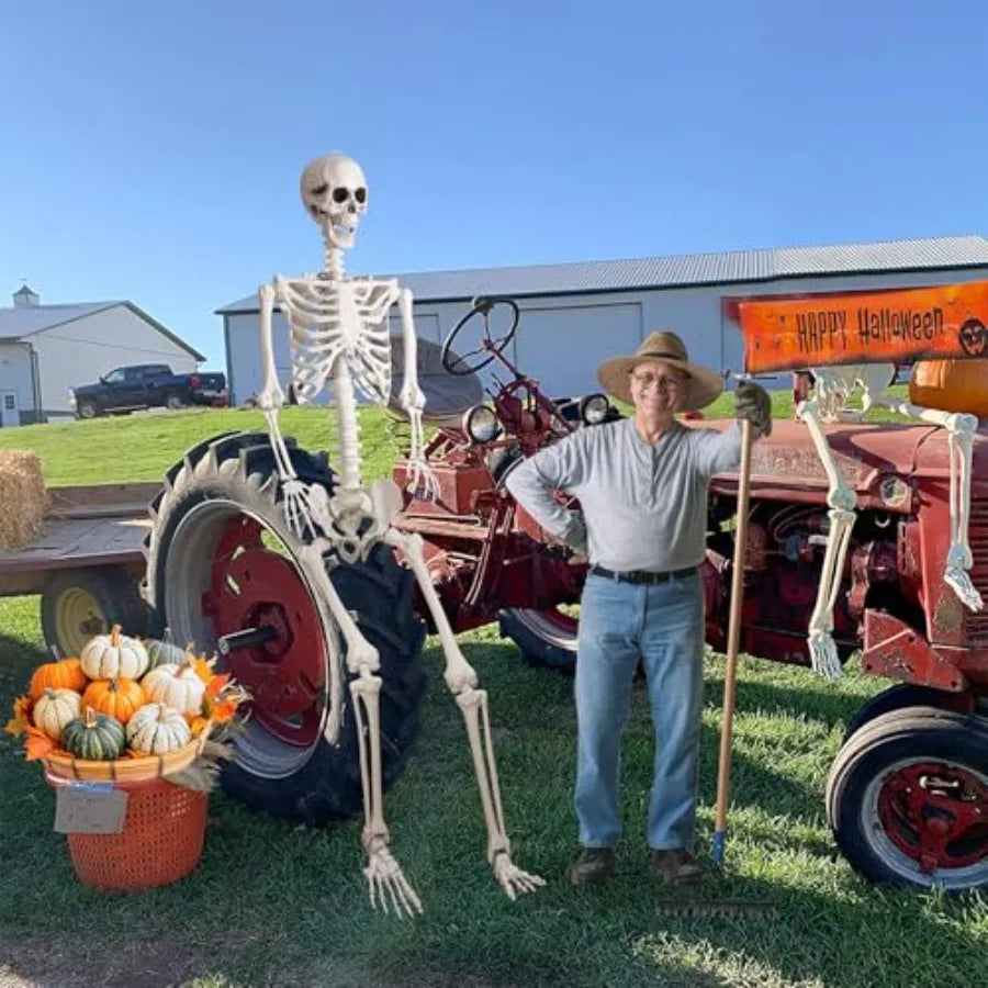 Halloween Giant Skeleton, Large Realistic Full Body Skeleton with Movable Joints for Halloween Party Haunted House Indoor Outdo