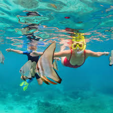 Swimming and Snorkeling