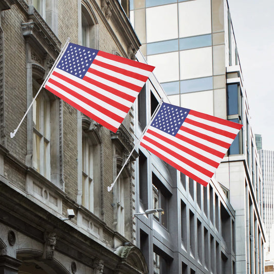 United States Flag, 3x5 FT American Flag with 6FT Pole and Holder, Heavy Duty US Flag Set for Outdoor Indoor, House Garden, Lawn