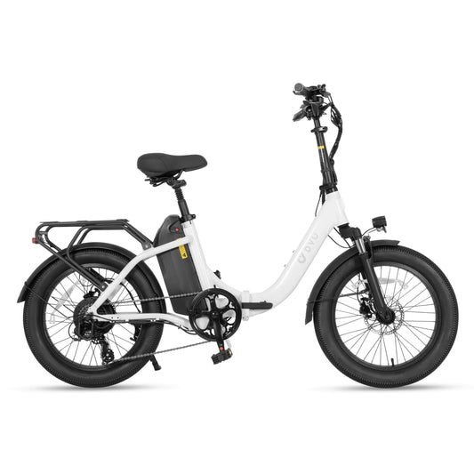 DYU C9 Adult Electric Bicycle, 20 Fat Tire Electric Bike electric bike  48V 15.6AH E-bike, 250W motor city ebike