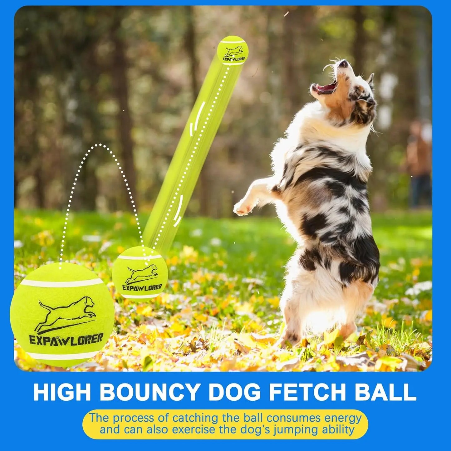 Squeaky Tennis Balls for Dogs, 12 Pack Interactive Chew Toys for Small to Large Pets