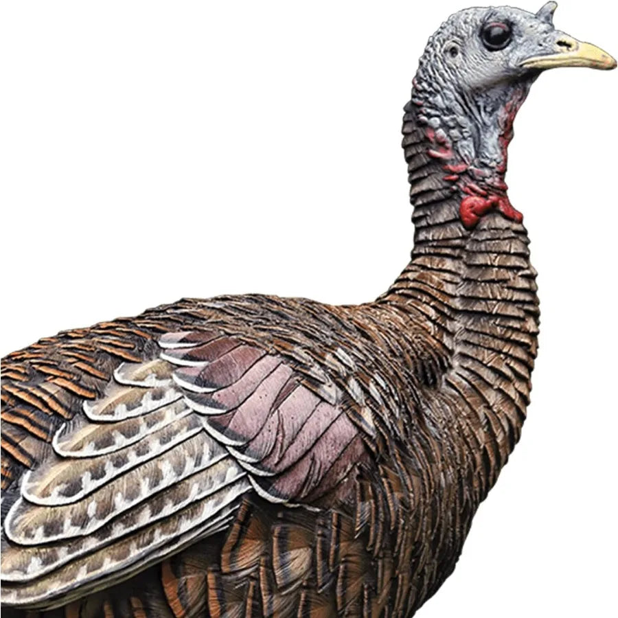 LCD Lookout Hen Turkey Decoy Durable Realistic Lifelike Collapsible Standing Hunting Decoy with Carry Bag and Stake AVX8006