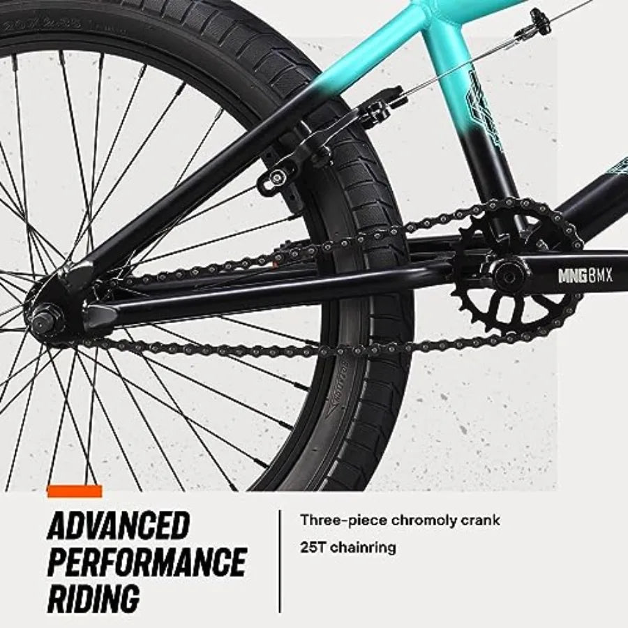 Legion Freestyle BMX Bike for Intermediate Riders 20-Inch Wheels Hi-Ten Steel Frame Micro Drive 25x9T Gearing Suitable for Boys