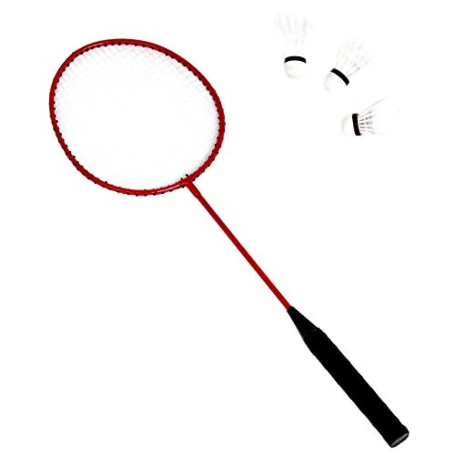 Portable Outdoor Volleyball and Badminton Combo Set with Sturdy Poles and Storage Bag