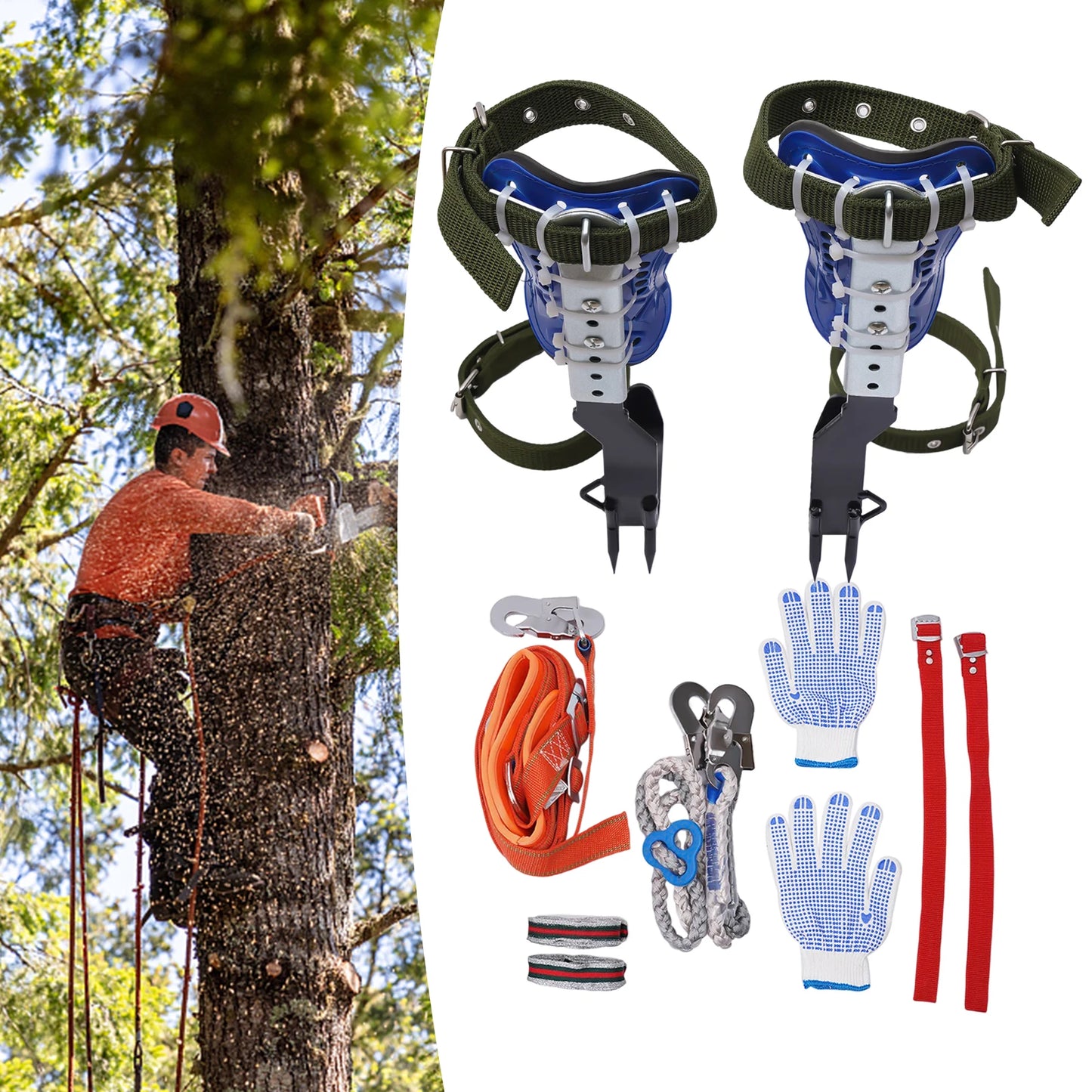 Tree Climbing Spikes Kit w/Safety Harness Gloves Double Teeth Tree Climbing Gear Climber Arborist Aider Tool 150KG Load