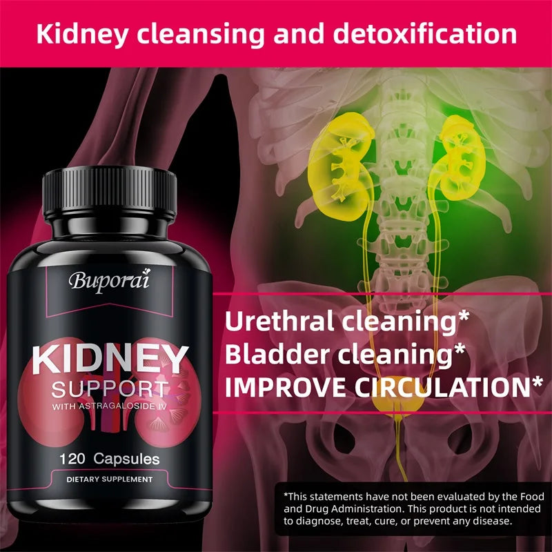 Kidney Support - Helps Promote Kidney Cleansing and Detoxification, Improve Urinary Tract Health - 120 Capsules
