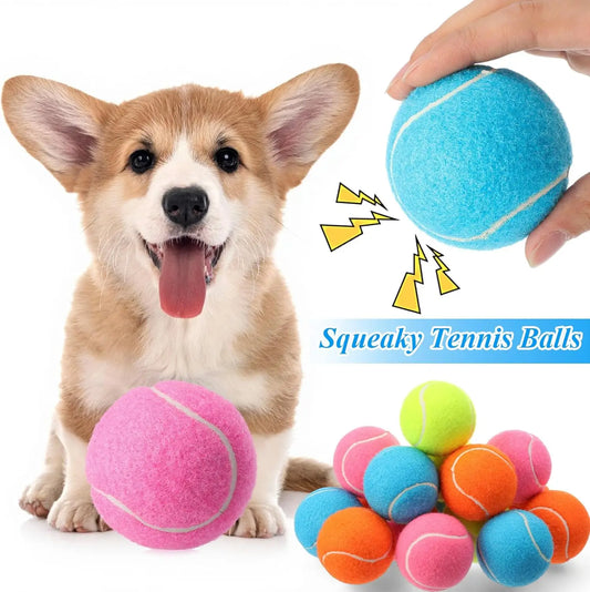 40 Pcs 2.5 Inch Squeaky Tennis Balls for Dogs, Bouncy Floatable Interactive Fetch Toys Indoor Outdoor Play