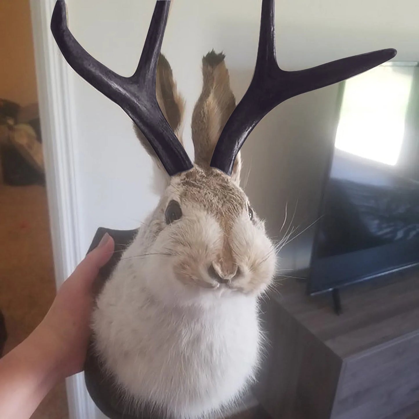 Easter Gift Bunny Head Antlers Wall Hanging Decoration Wall Decor Simulation Rabbit Specimen Resin Art Ornaments Jackalope Decor