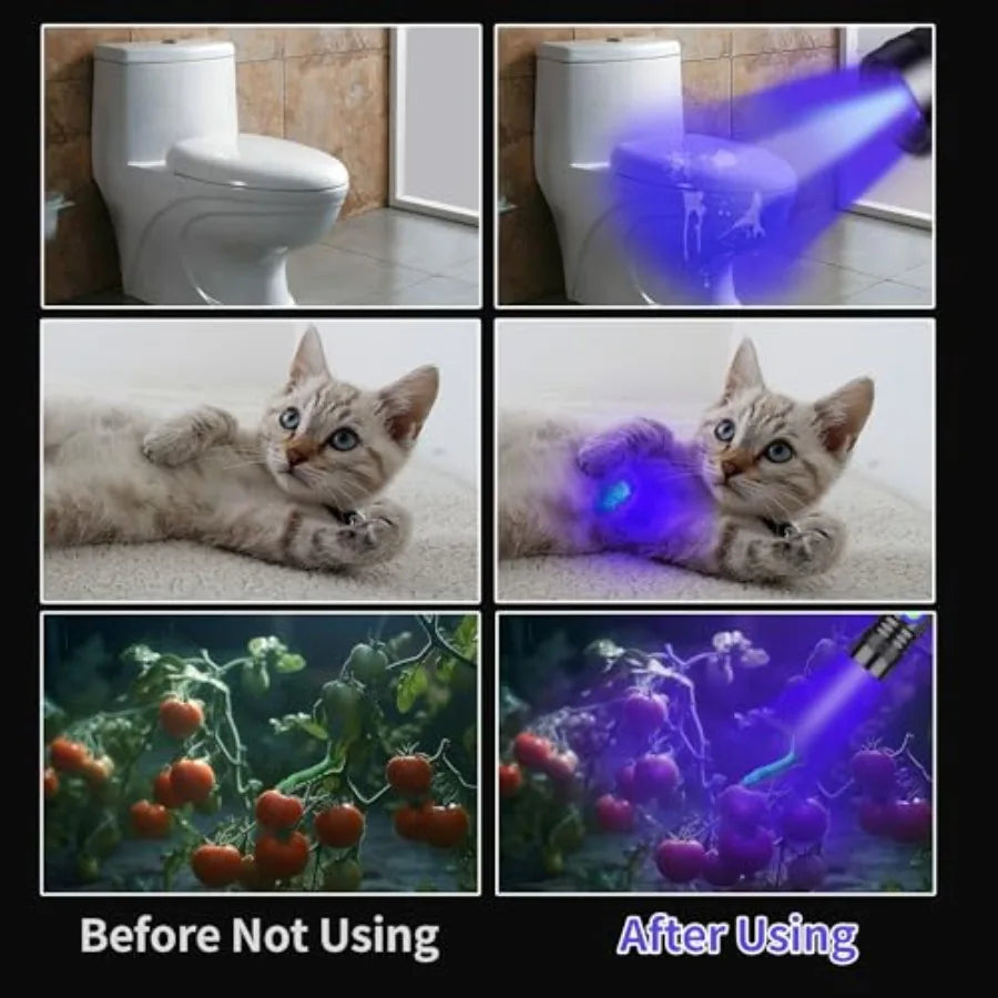UV Flashlight Black Light USB Rechargeable 365nm Blacklight Mini, Woods lamp Portable Handheld Powerful LED Ultraviolet Lights