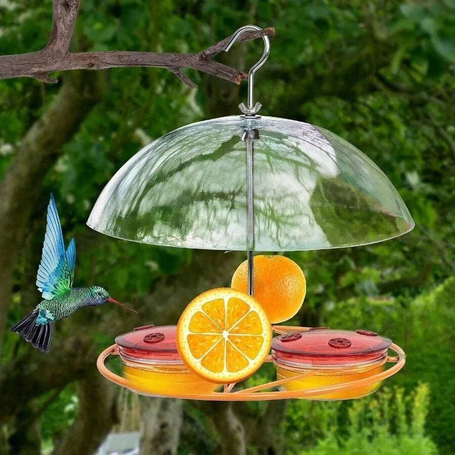 【New style】Baltimore Oriole Feeders, And Oranges, Hanging Wild Squirrel Proof Bluebirds Hummingbirds Houses Outside, Outdoors