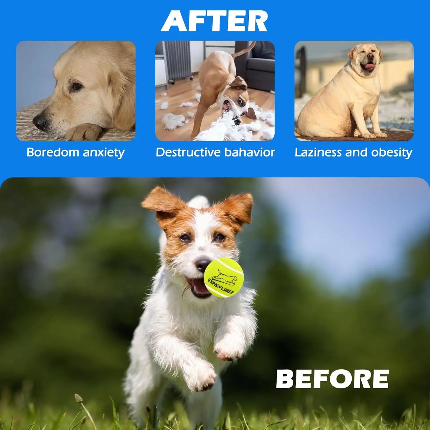 Squeaky Tennis Balls for Dogs, 12 Pack Interactive Chew Toys for Small to Large Pets