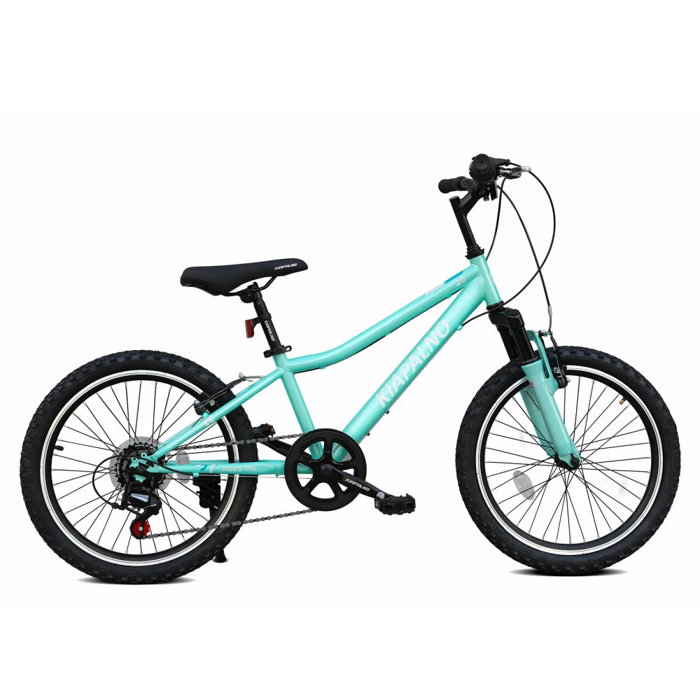 20 Inch Mountain Bike, 7-Speed Adult Dual-Suspension Mountain Bicycle with Sturdy Steel Frame, Excellent Twist Shifting, Dual Handbrake & Adjustable Seat for Men Women