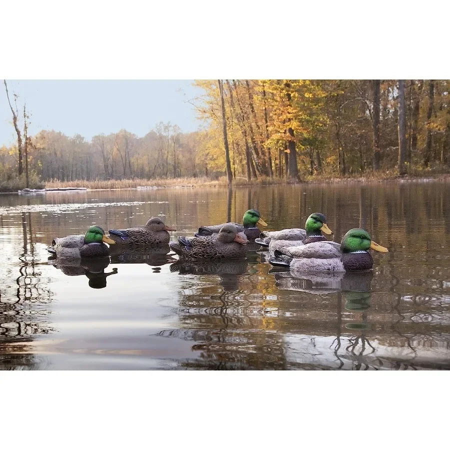 Higdon Outdoors Standard Mallard Duck Decoys Ultra Realistic Drake and Hen Decoys for Waterfowl Hunting Foam-Filled and Non-Foa
