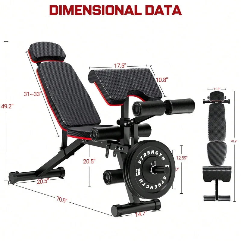 Large Fitness Equipment Built-In Transportation Wheel 10 Positions Adjustable Weight Bench