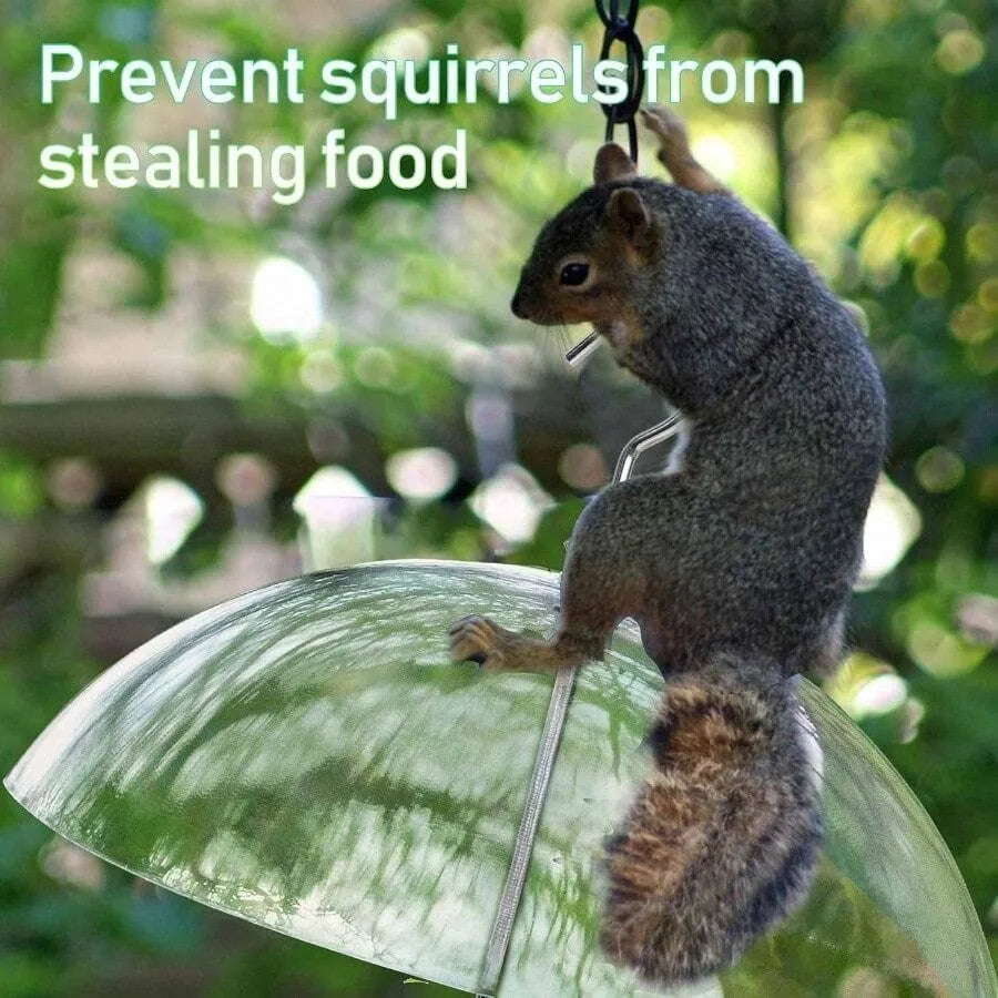 【New style】Baltimore Oriole Feeders, And Oranges, Hanging Wild Squirrel Proof Bluebirds Hummingbirds Houses Outside, Outdoors