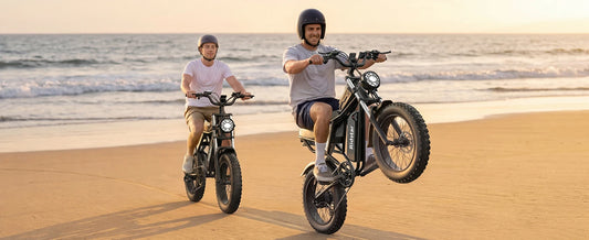 RIDSTAR Q30 Electric Bike for Adults E-Bike 2000W 48V 20AH 20" Fat Tire Electric Dirt Bike Bicycle UL2849  for Mountains Road