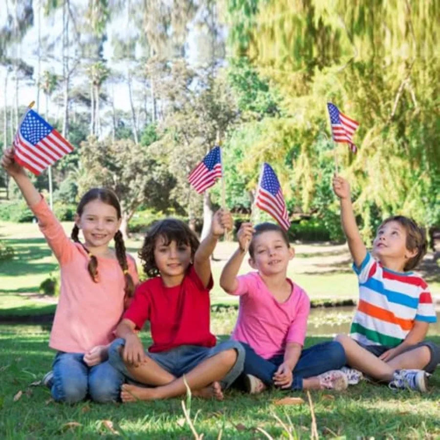 Small American Flags on Stick, Mi Handheld USA Flags with Kid-Safe Spear Top, American flags For Outside, 4th of july decoratio