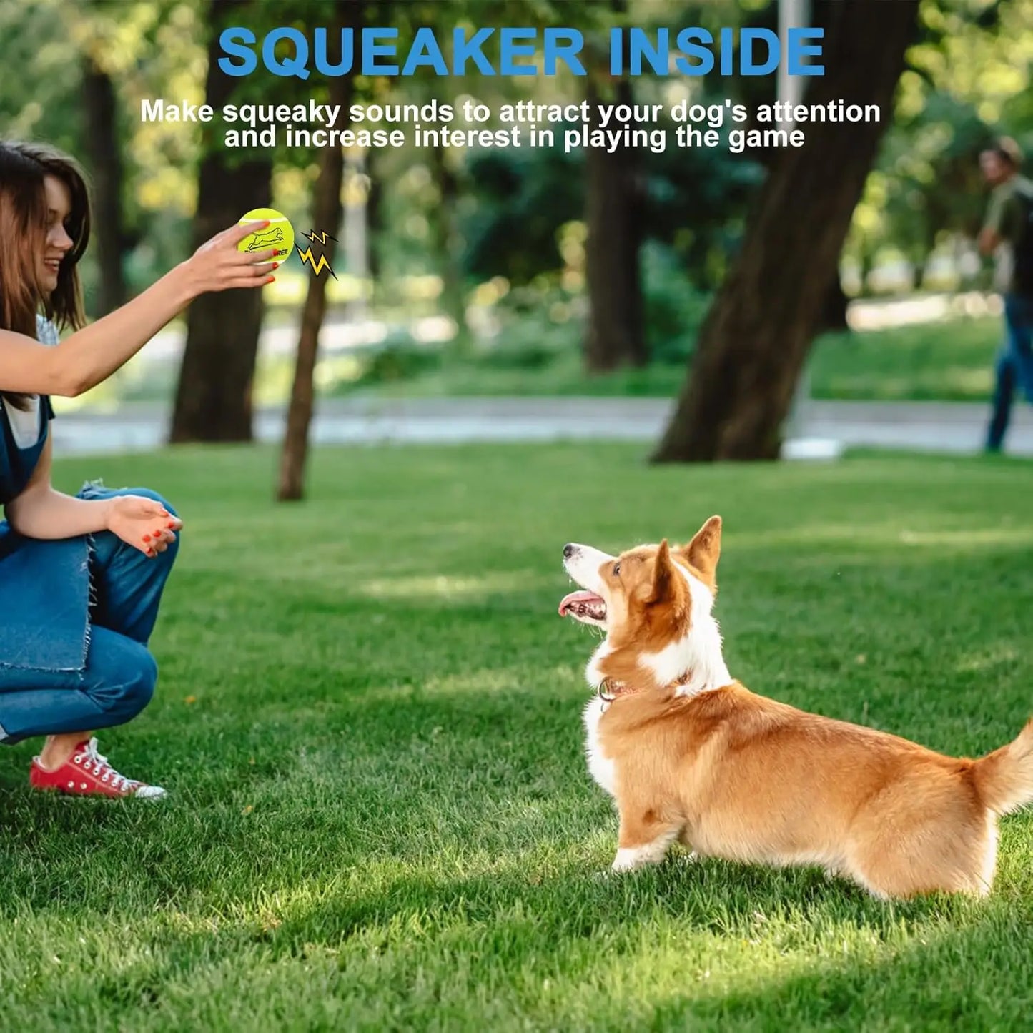 Squeaky Tennis Balls for Dogs, 12 Pack Interactive Chew Toys for Small to Large Pets