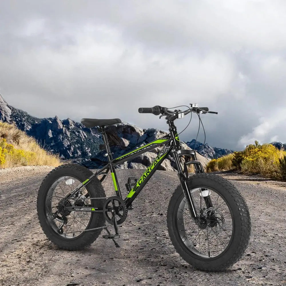 Ye S20109 20-Inch Mountain Bike for Kids & Teenagers, High Carbon Steel Frame, Disc Brakes, Durable Wide Tires, Front Suspension, 7-Speed, Ideal for Snow & Off-Road Riding
