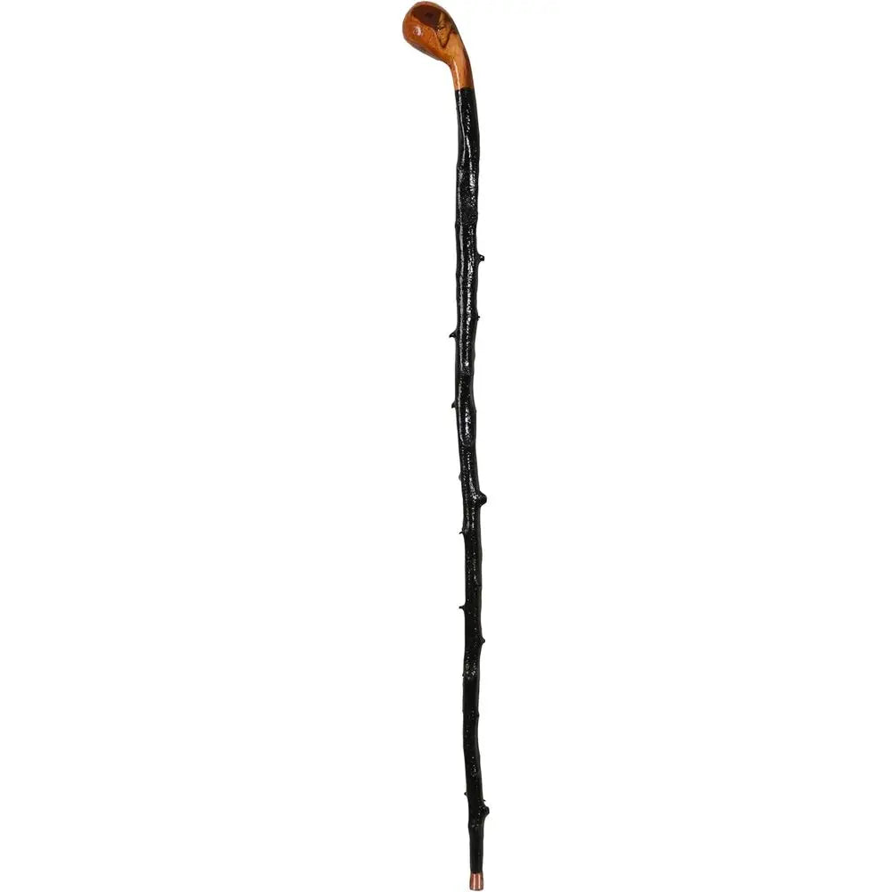 Handcrafted Irish Blackthorn Walking Stick, Unique High Gloss 36 Cane