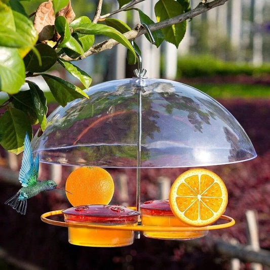 【New style】Baltimore Oriole Feeders, And Oranges, Hanging Wild Squirrel Proof Bluebirds Hummingbirds Houses Outside, Outdoors