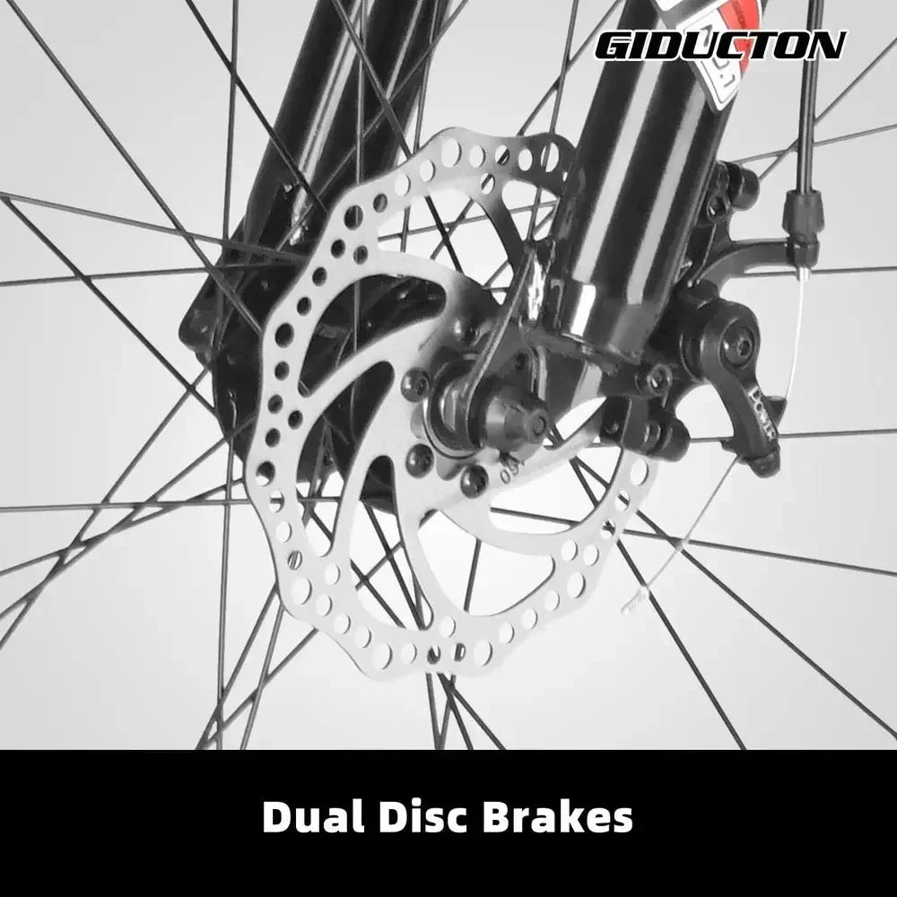 21-Speed 27.5 Inch Mountain Bike with Dual Disc Brakes and Front Suspension