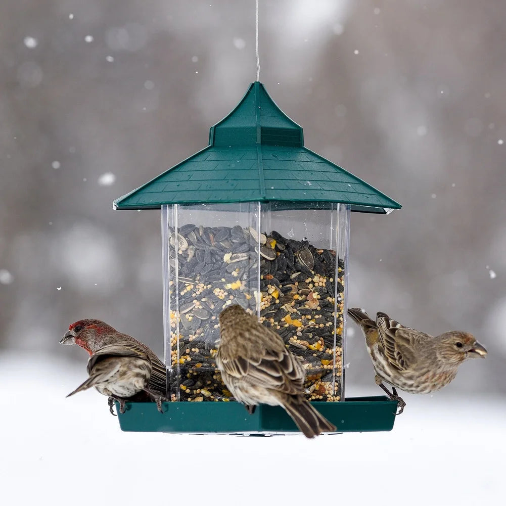 Wild Bird Feeders for Outside Rust Proof Hanging Feeders Squirrel Proof Bird Cardinal Wildlife Feeder Attracts All Birds