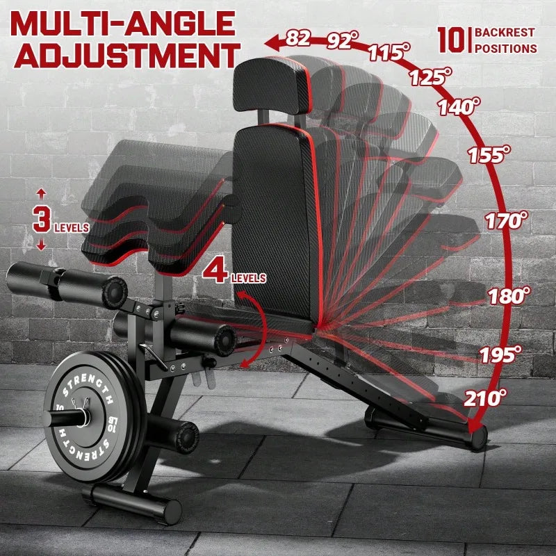 Large Fitness Equipment Built-In Transportation Wheel 10 Positions Adjustable Weight Bench
