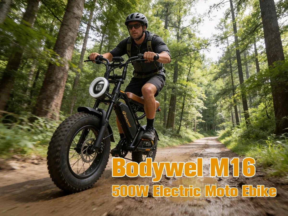 1500W Peak Electric Bike for Adults 48V 15.6AH off road E-Bike 31 MPH Electric Bicycle 16x4" Fat Tire Mountain Bike Bodywel M16