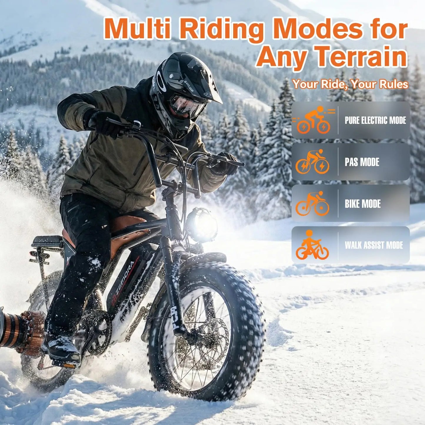 Electric Bike for Adults, 2500W Peak Moto Ebike, 25MPH Electric Dirt Bike, 48V Battery, 80/100/120 Miles Range,, Customized