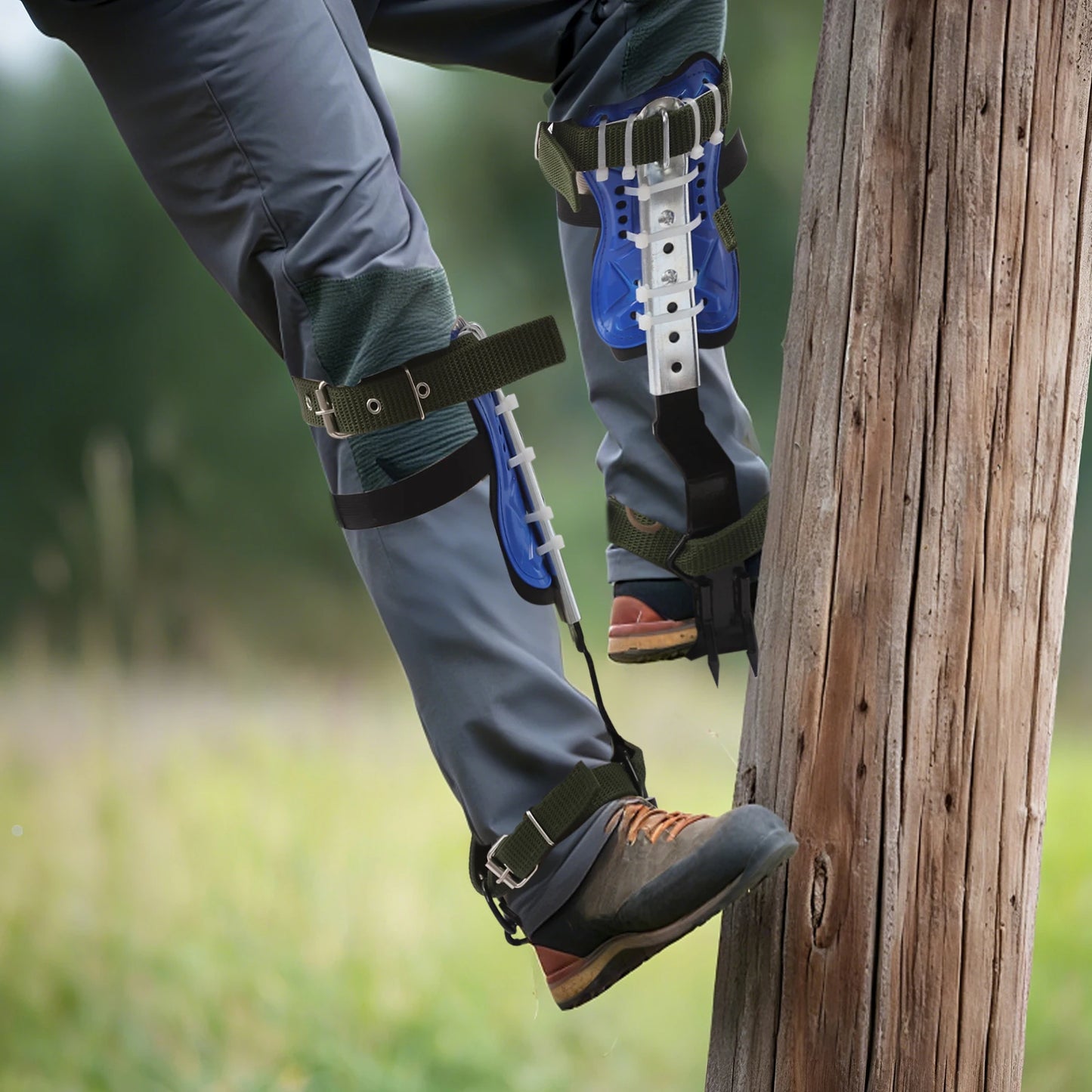 Tree Climbing Spikes Kit w/Safety Harness Gloves Double Teeth Tree Climbing Gear Climber Arborist Aider Tool 150KG Load