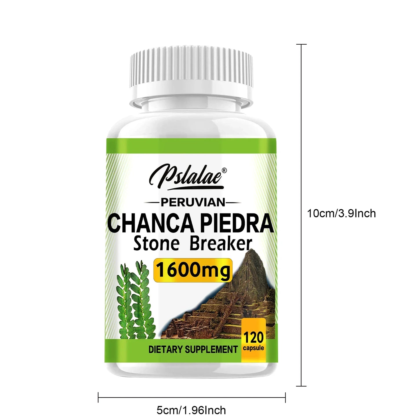 Chanca Piedra 1600mg - Supports Kidney Function, Promotes Detoxification, Cleansing and Repair, and Boosts Energy - 120 Capsules