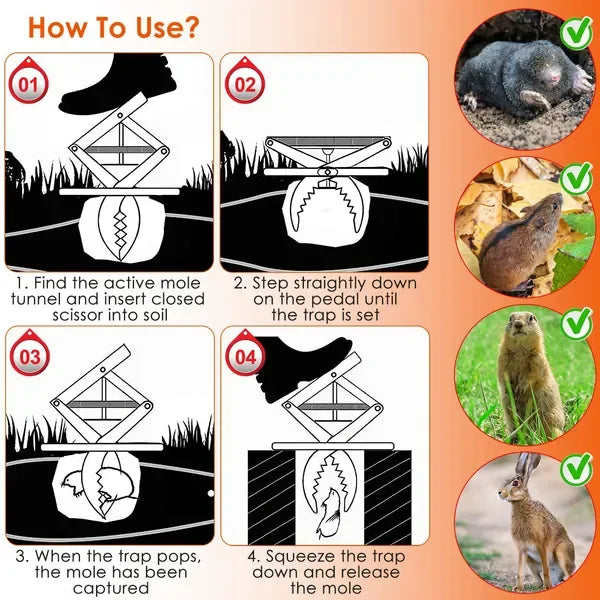 2PCS Easy Setup Mole Traps Outdoor Reusable Scissor Mole Gopher Rodent Control Trap Solid Metal Material For Lawn Garden Yard